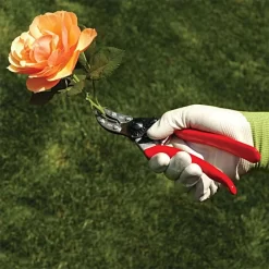 Felco 100 Special Application - Cut & Hold Pruning Shears -Beautiful Garden 100fel 4