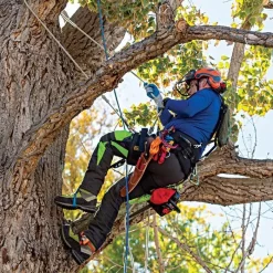 Weaver WLC-700 Saddle With Floating Bride 9 Weaver WLC-700 Saddle With Floating Bride -Beautiful Garden 1085 live vert 4
