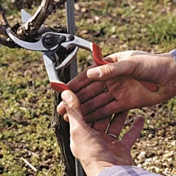 Felco 13 Multipurpose Pruning Shears - Use With 1 Or 2 Hands 10 Felco 13 Multipurpose Pruning Shears - Use With 1 Or 2 Hands -Beautiful Garden 13fel in use