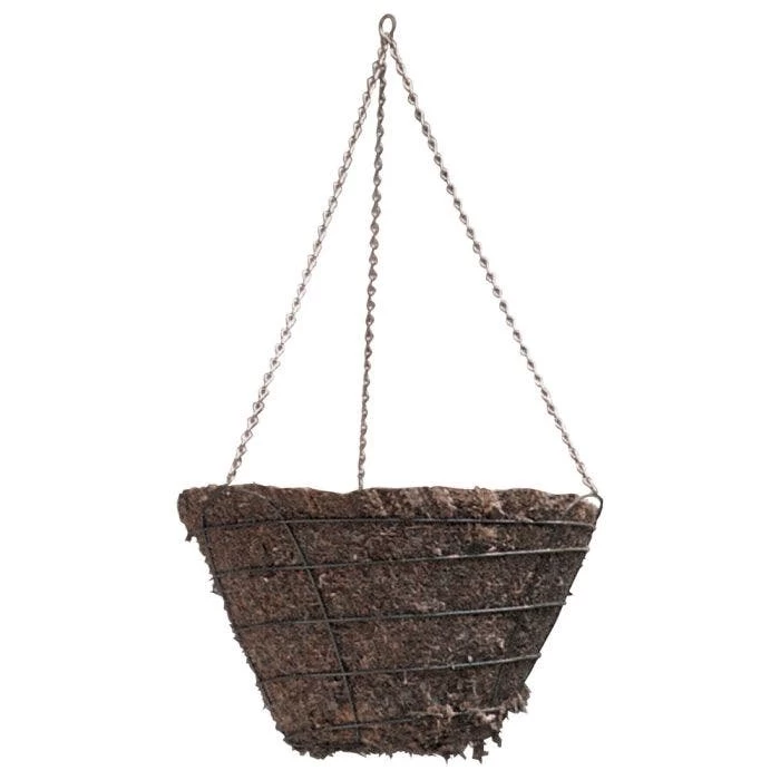 Braun Wire Hanging Basket Moss Liner And Chain 16in Diam 1 Braun Wire Hanging Basket Moss Liner And Chain 16in Diam
