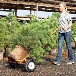 Leonard Ball Carts With Curved Lift, Pneumatic Tires 20 Leonard Ball Carts With Curved Lift, Pneumatic Tires -Beautiful Garden 15cc 9