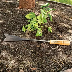 Asparagus Weeder Steel Knife -Beautiful Garden 19ak live2 7.20.22