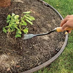 Asparagus Weeder Steel Knife -Beautiful Garden 19ak live 7.20.22