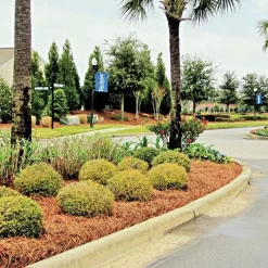 QuickStraw Premium Pine Straw -Beautiful Garden 2001 3