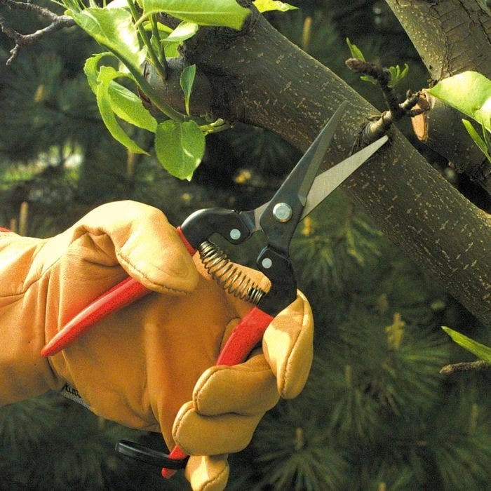 ARS Needle Nose Hand Shears, 7.5-inch Overall Length 6 ARS Needle Nose Hand Shears, 7.5-inch Overall Length - Image 6