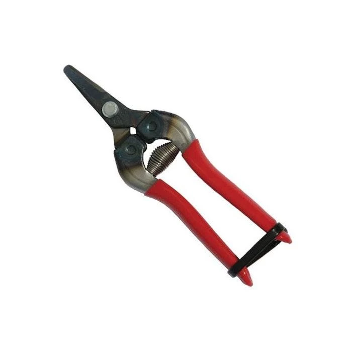 Curved Fruit Pruners 1 Curved Fruit Pruners