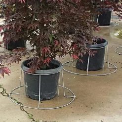 Better Bilt TopHat Plant Container Stabilizer - 5 Gallon Size -Beautiful Garden 3ps5 2 1