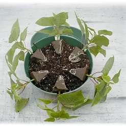 Belden Plastics 10 Inch Hanging Garden Baskets Case Of 25 -Beautiful Garden 690202 2