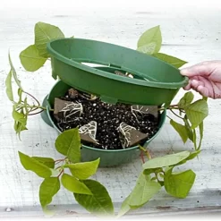 Belden Plastics 10 Inch Hanging Garden Baskets Case Of 25 -Beautiful Garden 690202 3