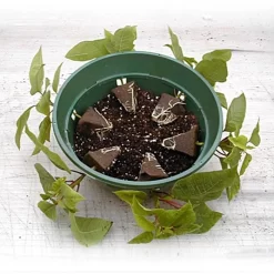 Belden Plastics 10 Inch Hanging Garden Baskets Case Of 25 -Beautiful Garden 690202 4