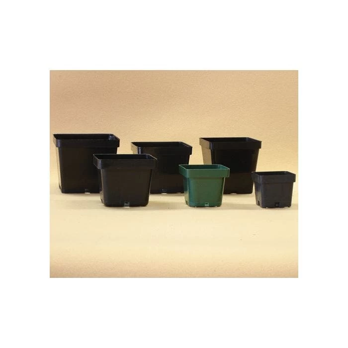 Belden Square Pot 4.5 In Black 450/Case 1 Belden Square Pot 4.5 In Black 450/Case