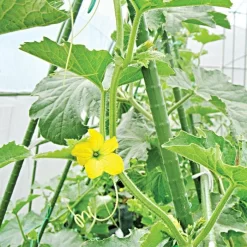 Knotty Takiron Green Steel Stakes, 3/8" X 4', Bundle Of 10 11 Knotty Takiron Green Steel Stakes, 3/8" X 4', Bundle Of 10 -Beautiful Garden 84tsk 4