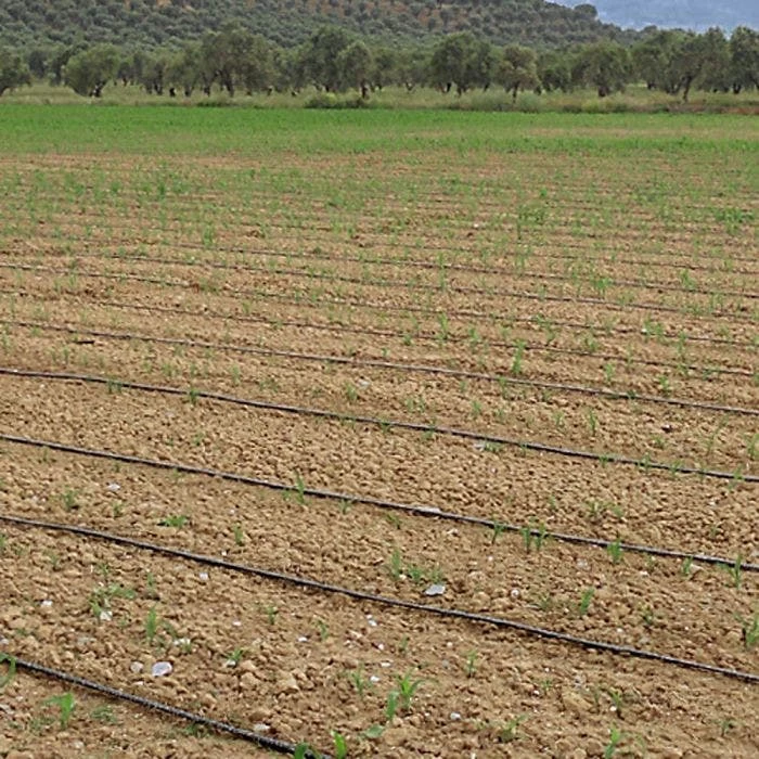 Irritec P1 Light 8-Mil Dripline, 1,000 Feet 2 Irritec P1 Light 8-Mil Dripline, 1,000 Feet - Image 2