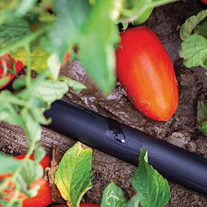 Irritec P1 Light 8-Mil Dripline, 1,000 Feet 3 Irritec P1 Light 8-Mil Dripline, 1,000 Feet - Image 3