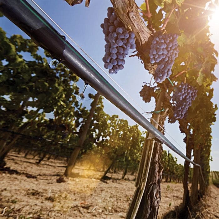 Irritec P1 Light 8-Mil Dripline, 1,000 Feet 4 Irritec P1 Light 8-Mil Dripline, 1,000 Feet - Image 4