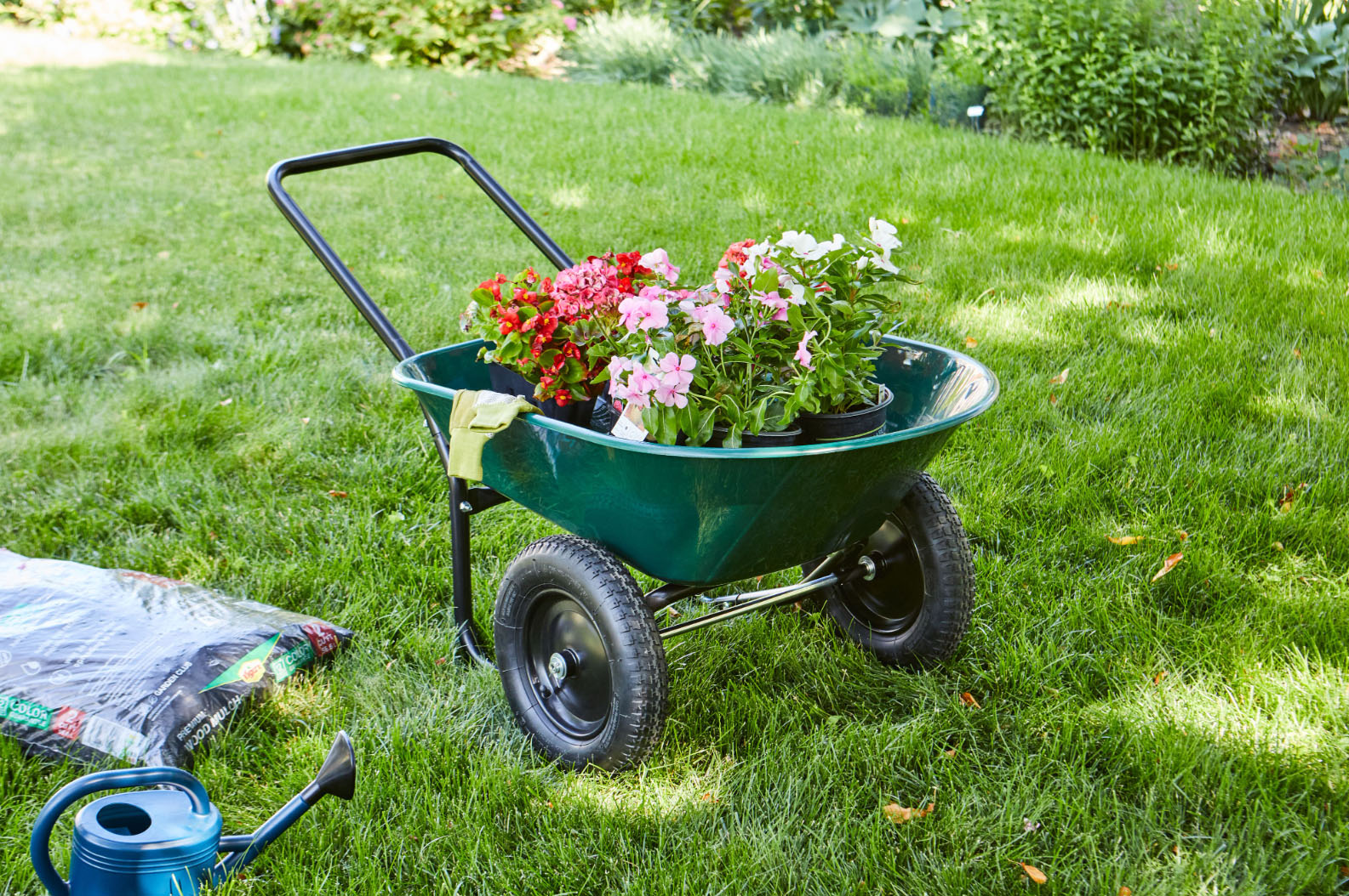 Beautiful Garden -Beautiful Garden OKSFRP901EL14D0UQ