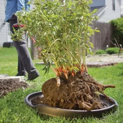 Leonard GardenGlide -Beautiful Garden ag1 6 1