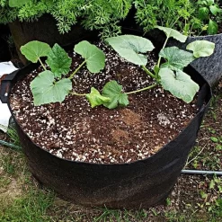 Leonard Grow Bags, 25-Gallon Size, Bundle Of 10 5 Leonard Grow Bags, 25-Gallon Size, Bundle Of 10 -Beautiful Garden agb25 1