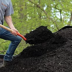 Leonard 10-Tine Forged Steel Scoop Fork With 48-Inch Straight Handle -Beautiful Garden amf10l 5 1