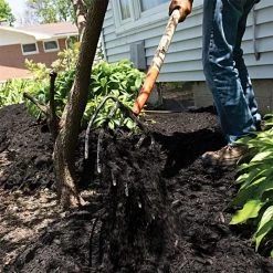 Leonard 6-Tine Forged Steel Manure Fork With 54-Inch Straight Handle -Beautiful Garden amf6 5 1