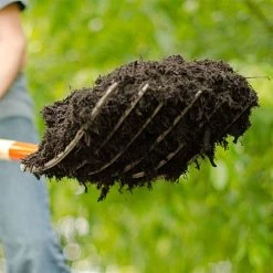 Leonard 6 Tine Forged Steel Manure Fork With 30 Inch D Grip Handle -Beautiful Garden amf6d 5