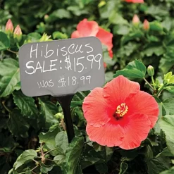 Blackboard Sign Stakes, 5" X 3" X 14.5" -Beautiful Garden bb35a 2 1