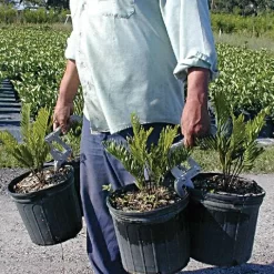 Large Can Handler -Beautiful Garden can2 2