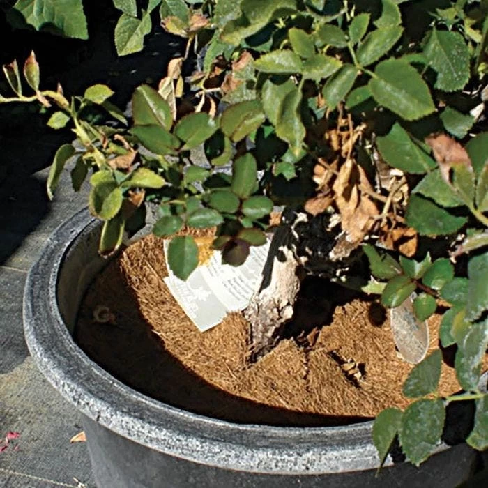 Coco Weed Guards, 90-Centimeter Diameter, Case Of 15 4 Coco Weed Guards, 90-Centimeter Diameter, Case Of 15 - Image 4