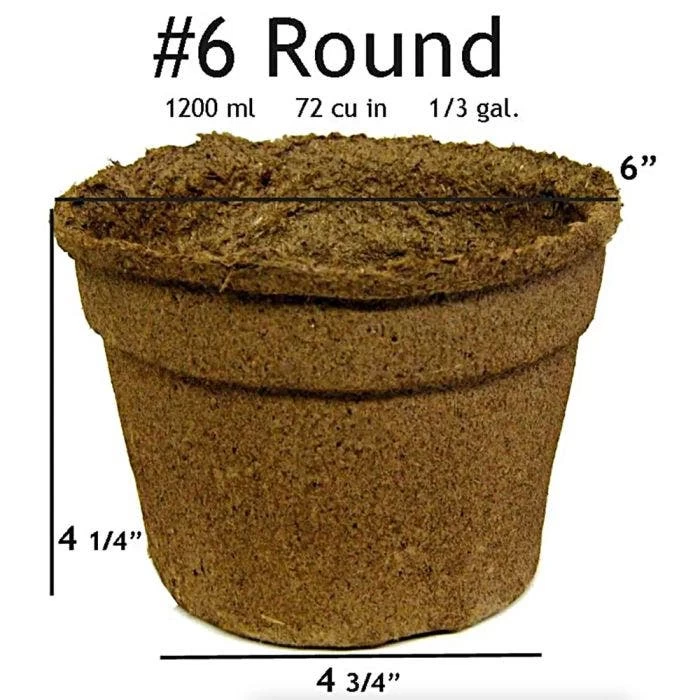 CowPots, #6 Round Pots, Case Of 108 2 CowPots, #6 Round Pots, Case Of 108 - Image 2