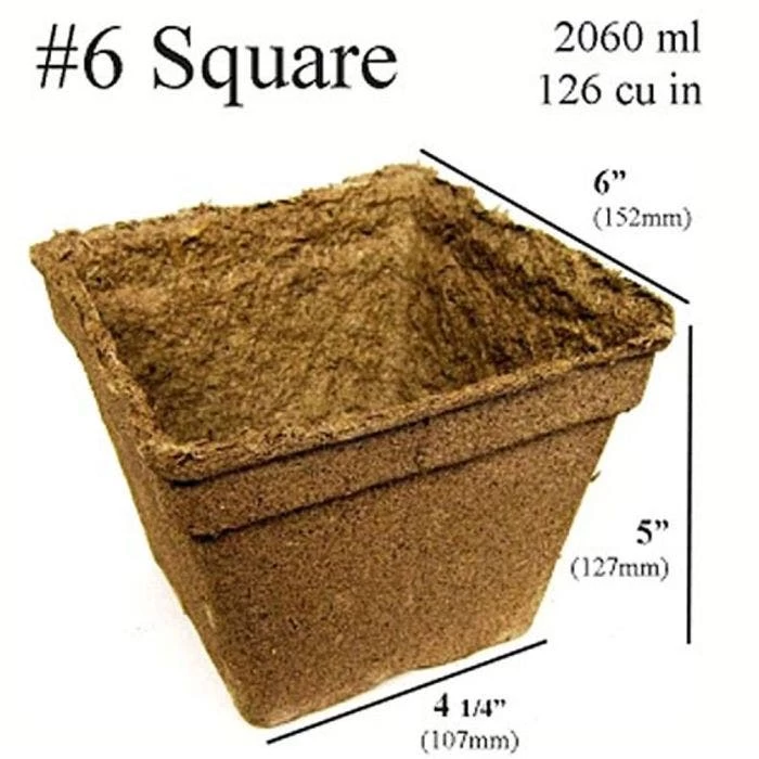 CowPots #6 Square Pots, Case Of 54 2 CowPots #6 Square Pots, Case Of 54 - Image 2