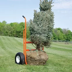 Leonard Nursery Truck Cradle Lift 1600 Lbs, Flat-Free Tires -Beautiful Garden f22le 5 1