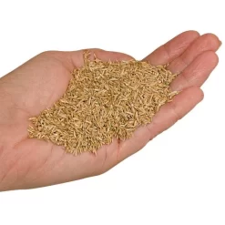 Fairlawn Blue And Rye Mix, 25 Lb Bag 6 Fairlawn Blue And Rye Mix, 25 Lb Bag -Beautiful Garden fair25 2 1