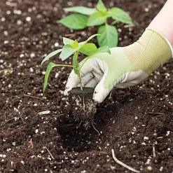 Grow-Plugs, Case Of 1,400 -Beautiful Garden fp1400 5