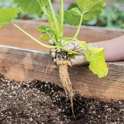 Grow-Plugs, Case Of 1,400 -Beautiful Garden fp1400 6
