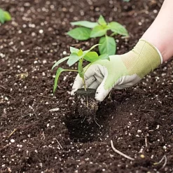 Grow-Plugs, Bag Of 55 -Beautiful Garden fp55 2 1