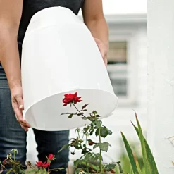 Frost Guard -Beautiful Garden frgd 4