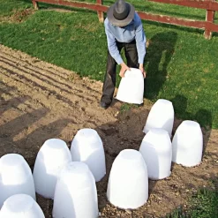 Frost Guard -Beautiful Garden frgd 7