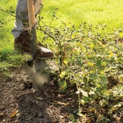 Leonard Forged Round Point Shovel With 48in Ash Handle -Beautiful Garden fw4 3