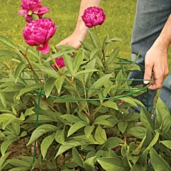 Commercial Steel Grid Plant Brace, 25in X 16in -Beautiful Garden gpb 2