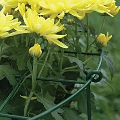 Commercial Steel Grid Plant Brace, 25in X 16in -Beautiful Garden gpb 3