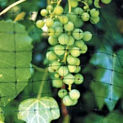 Heavy Duty Net, 14ft X 100ft -Beautiful Garden hdn141 2