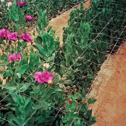Hortonova Trellis Netting, 4 Feet X 100 Feet -Beautiful Garden htn4100 15