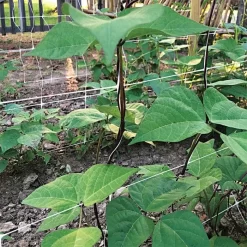 Hortonova Trellis Netting, 4 Feet X 100 Feet -Beautiful Garden htn4100 17