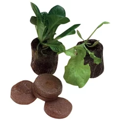 Jiffy 7 Peat Pellet Prespaced In Trays