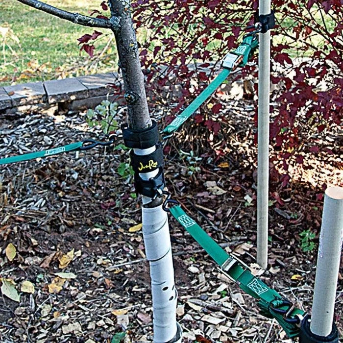 Small-Medium Eye Loop Style Jeri-Rigg, Pack Of 2 2 Small-Medium Eye Loop Style Jeri-Rigg, Pack Of 2 - Image 2