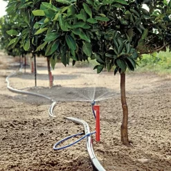 Maxijet Irrigation Ag Spray Stake Assembly, 12ft Diameter, Package Of 25 -Beautiful Garden max36 citrus fieldshot 1