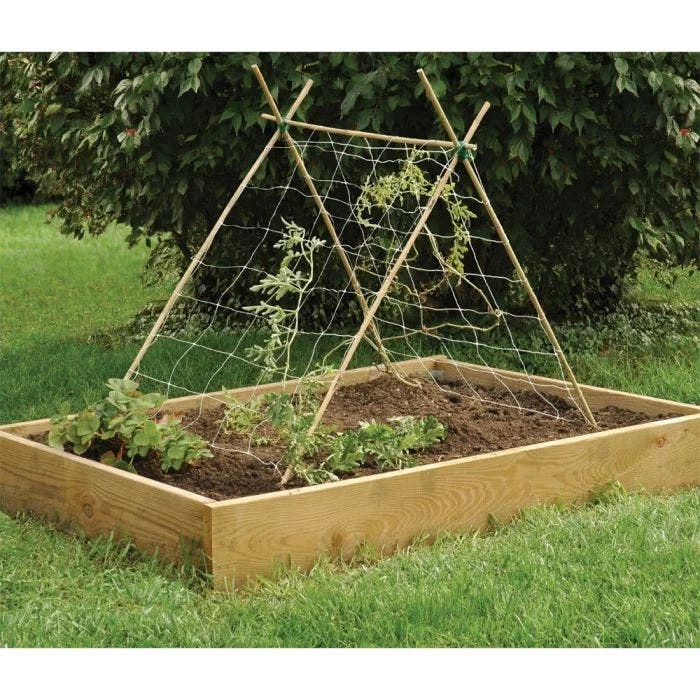 4-Foot Natural First Cut Premium Bamboo Stakes, 10-12 Mm Diameter, Bundle Of 250 2 4-Foot Natural First Cut Premium Bamboo Stakes, 10-12 Mm Diameter, Bundle Of 250 - Image 2