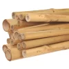 5-Foot Natural First Cut Premium Bamboo Stakes, 24-26 Mm Diameter, Bundle Of 50