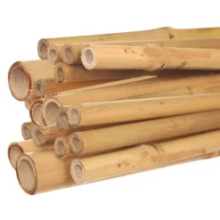 7-Foot Natural First Cut Premium Bamboo Stakes, 24-26 Mm Diameter, Bundle Of 50