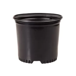 NSI Pressure Formed Container Trade True 1